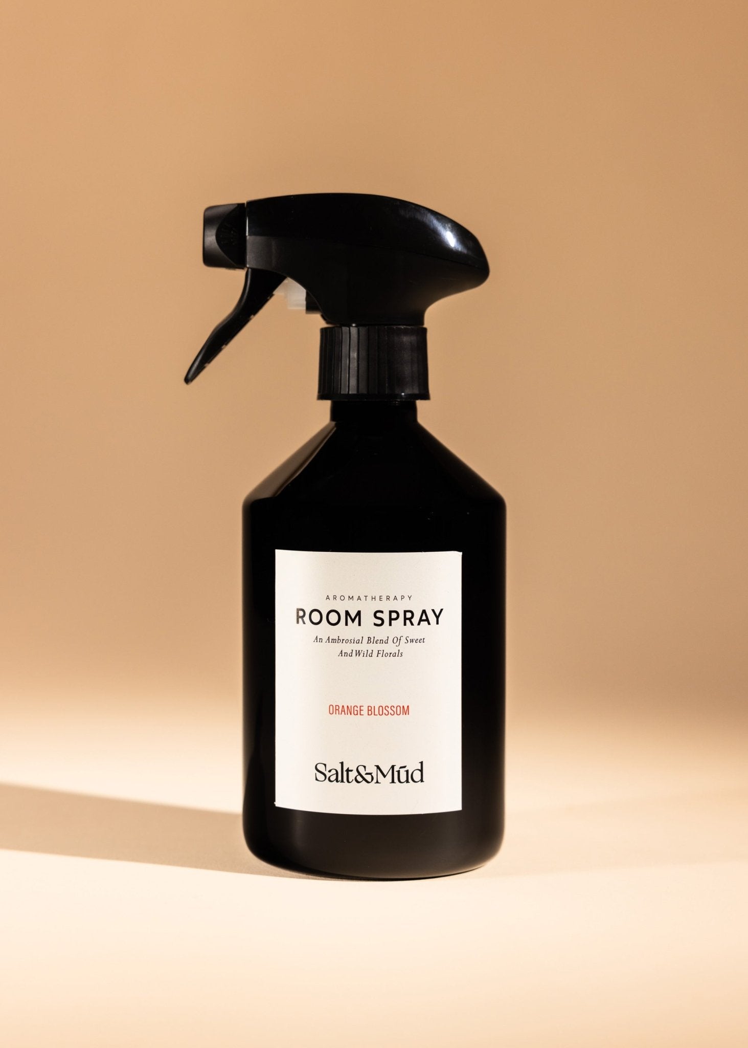 Aromatherapy Room Spray - Salt And Mud